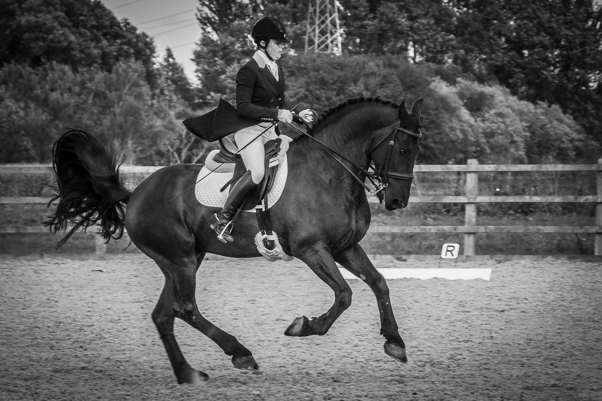 The yard at Golden Lane Stables